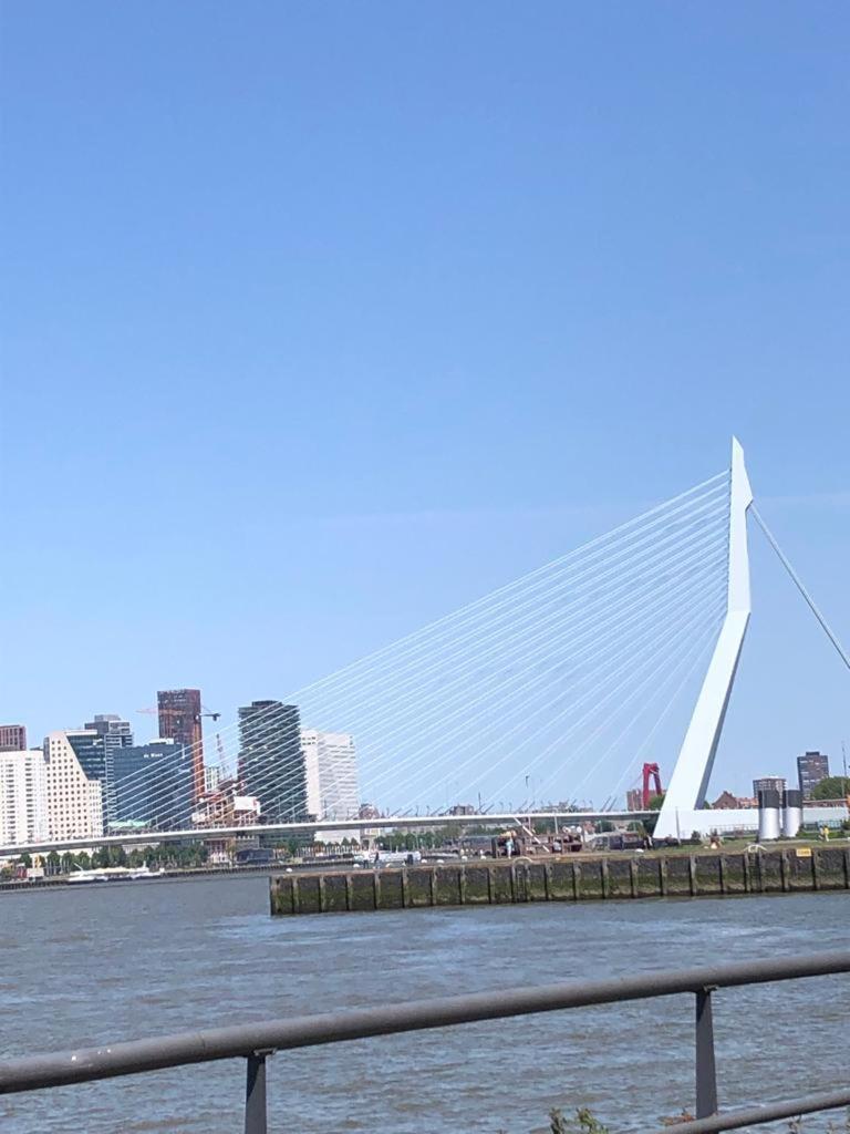 义曼哥尼住宿加早餐旅馆 鹿特丹 外观 照片